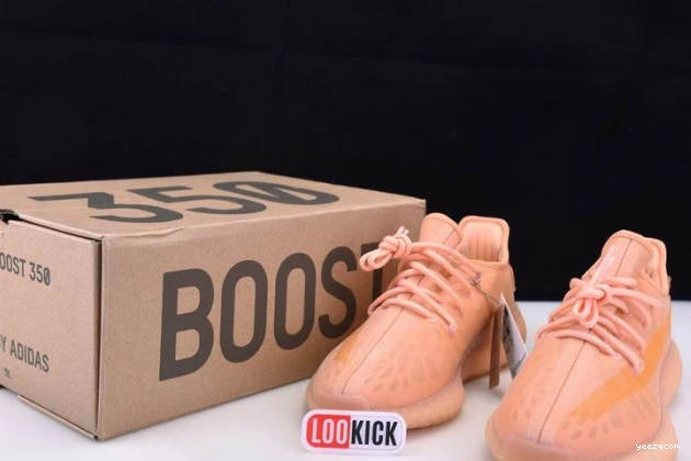 GW2870 Adidas V2 350 Clay